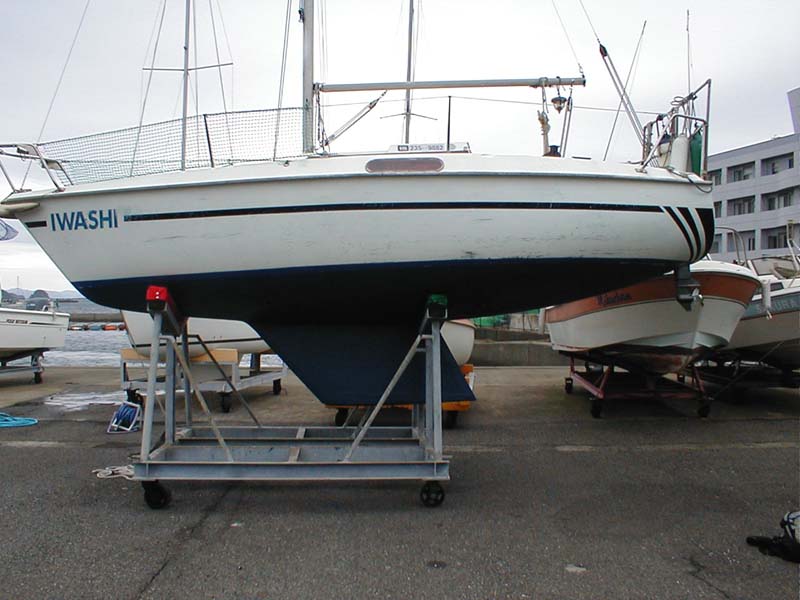 �Q��ړh������